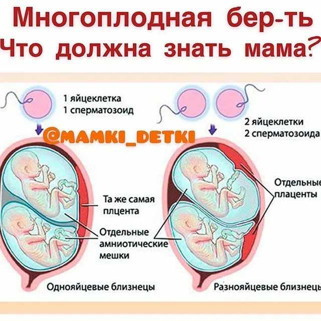 Вопросы и ответы: беременность двойней | pampers ru