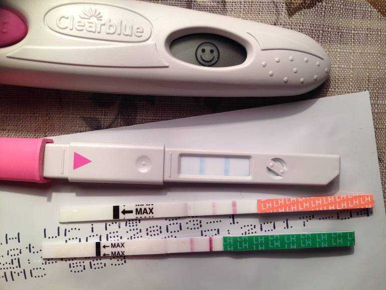 На каком сроке показывает тест на беременность - как применять тест