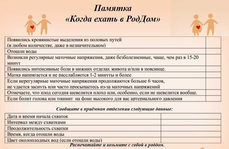 Пособие по беременности и родам в 2021 году| страница 55 | kukuzya.ru