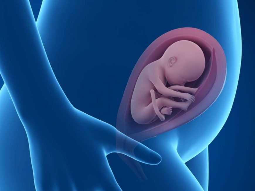 9 неделя беременности: развитие плода и необходимые физические нагрузки