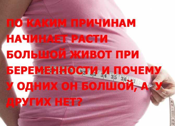 беременность по месяцам, как меняется внешность беременной, как растет живот у беременной, живот при беременности, беременность видео, видео о беременности