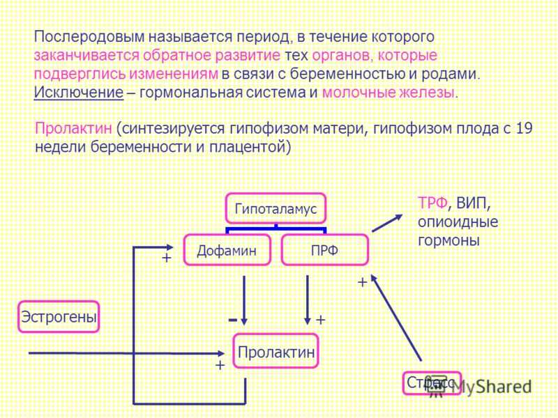 Правила поведения в родильном доме | www.mrd1-74.ru