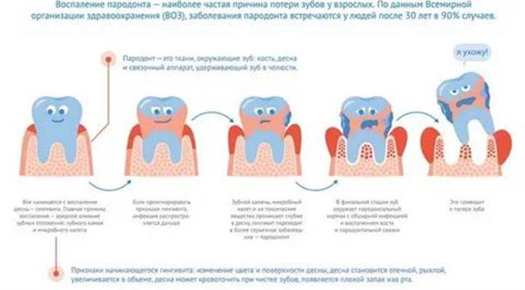Беременность и зубы ребенка – питание матери для здоровья зубов малыша - статьи из блога стоматологической клиники «гутен таг»