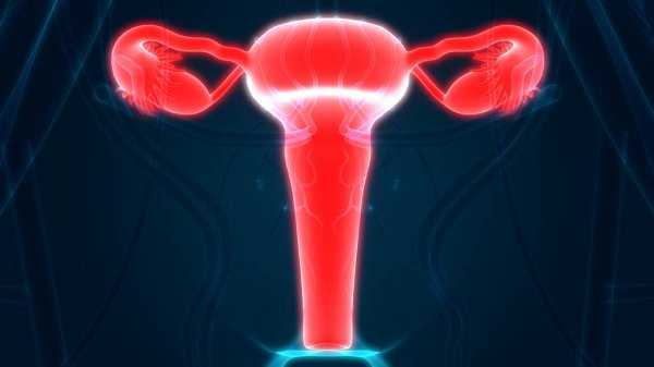 Репродуктивная система женщины: уровни организации