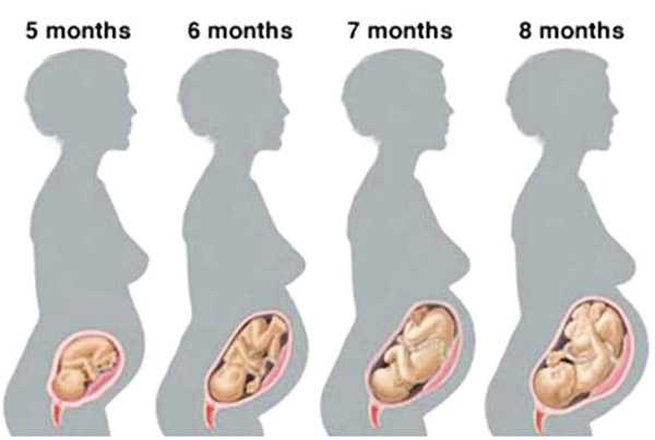 7 месяц беременности сколько это недель, что можно, ребенок