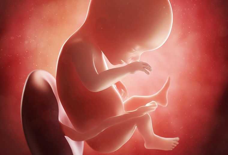 29 неделя беременности: что происходит в 8 месяц от зачатия?