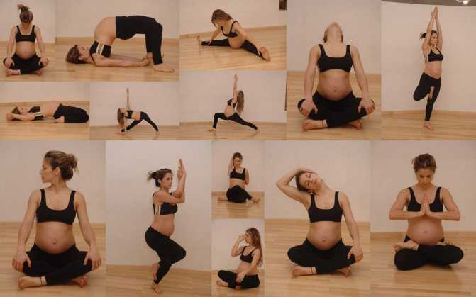 Лучшие упражнения для беременных по триместрам