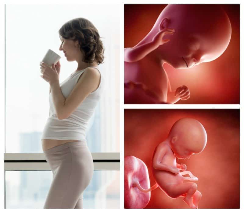 29 неделя беременности. календарь беременности   | материнство - беременность, роды, питание, воспитание