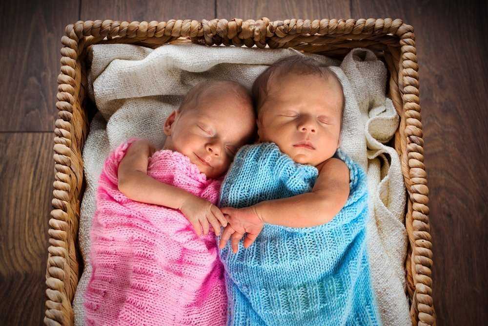 Двойняшки и близнецы: в чем разница? как зарождаются, получаются близнецы и двойняшки, как происходит зачатие? близнецы или двойняшки похожи друг на друга?