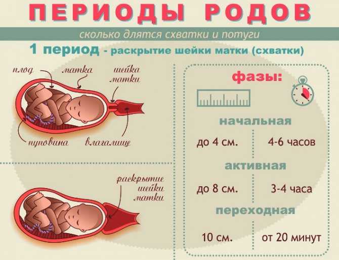 В каком возрасте женщине лучше рожать первого ребенка? | здоровая жизнь | здоровье | аиф аргументы и факты в беларуси