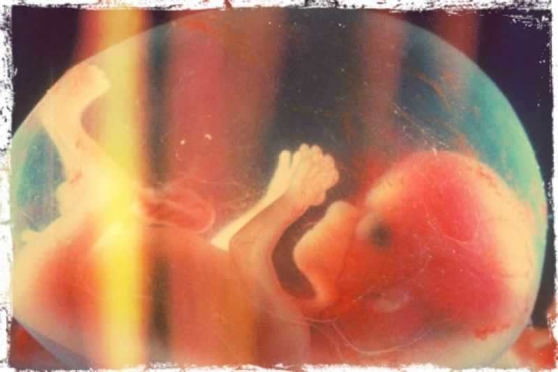 22 неделя беременности - развитие малыша и фото