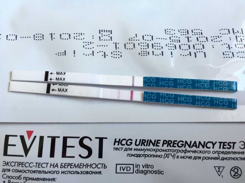 Тесты на беременность. как правильно делать анализ. как долго копить мочу. - планирование беременности. эко