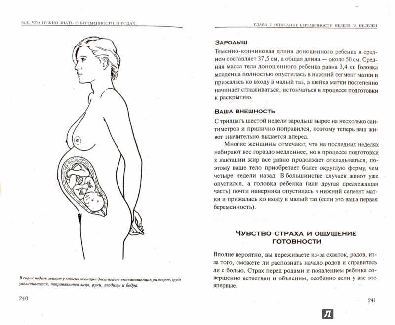 На 28 неделе беременности малыш уже жизнеспособен | аборт в спб