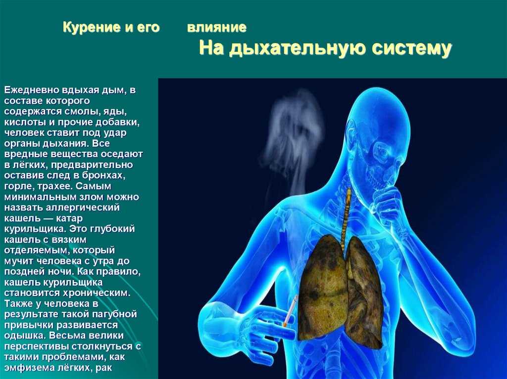 Последствия курения, вред и влияние на организм и психику человека |никоретте®