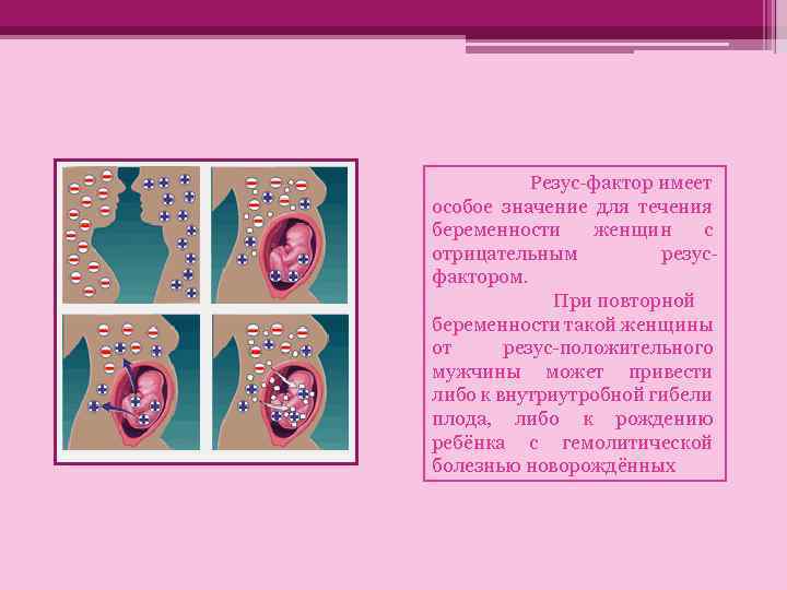 Ведение беременности у резус-отрицательных женщин | центр медицины плода