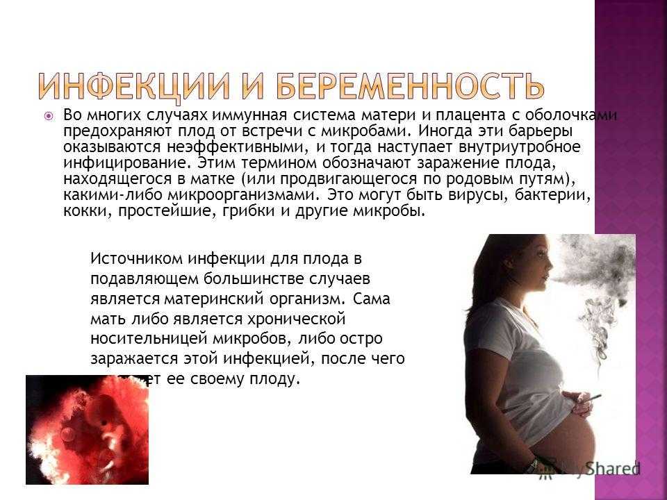 Хламидиоз при беременности, что такое хламидии