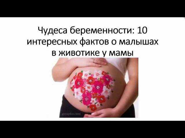 Интересное про беременность и роды - модная медицинская одежда для врачей, медсестер, хирургов в минске. дизайнерская медицинская спецодежда в беларуси