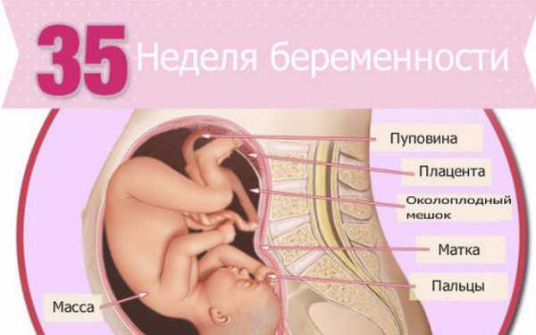9 неделя беременности: признаки, ощущения, выделения