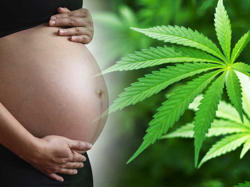 курение марихуаны и зачатие