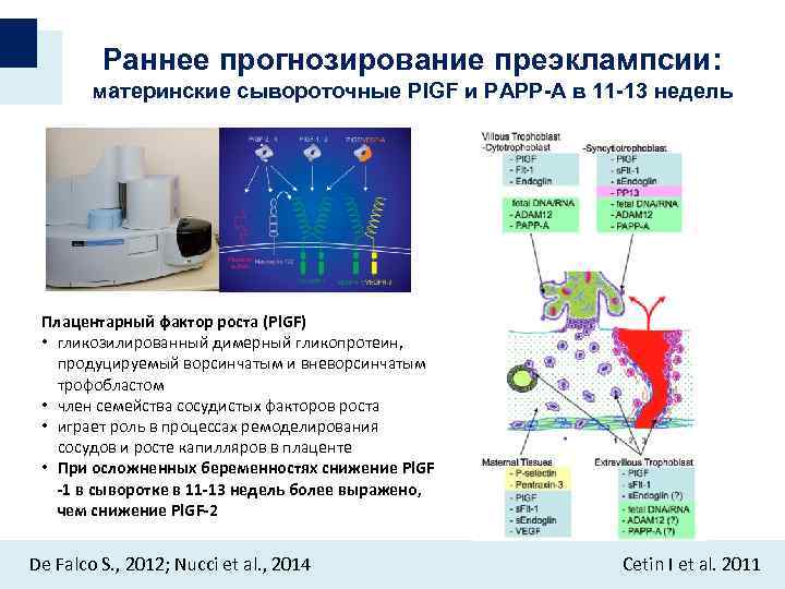 Диагностика и оценка риска развития преэклампсии (sflt-1/plgf): исследования в лаборатории kdlmed