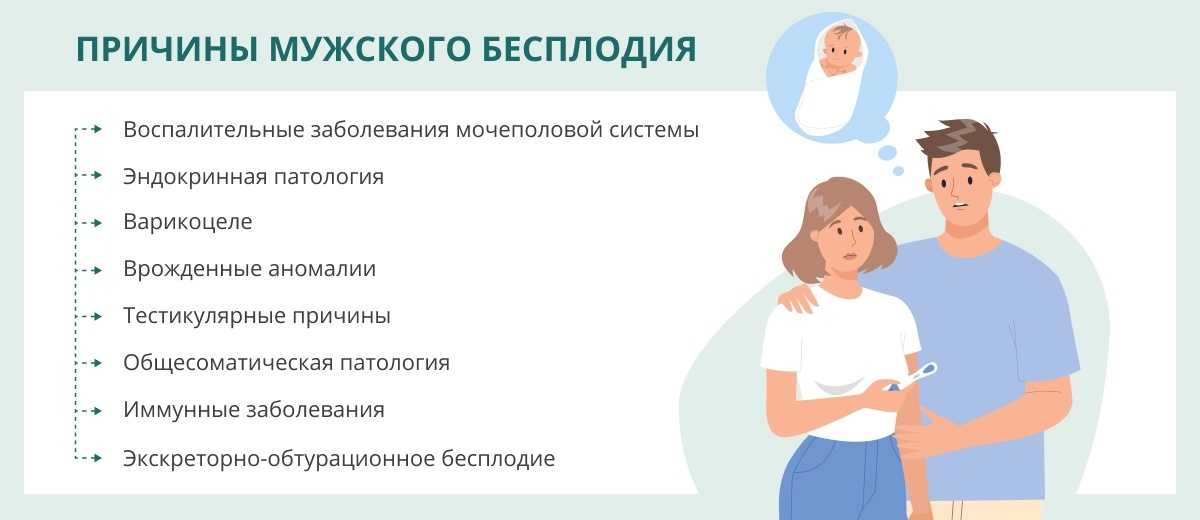Мужское бесплодие: мифы и реальность | urolog-kiev.com