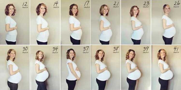 Беременность по месяцам, календарь по месяцам | nutrilak