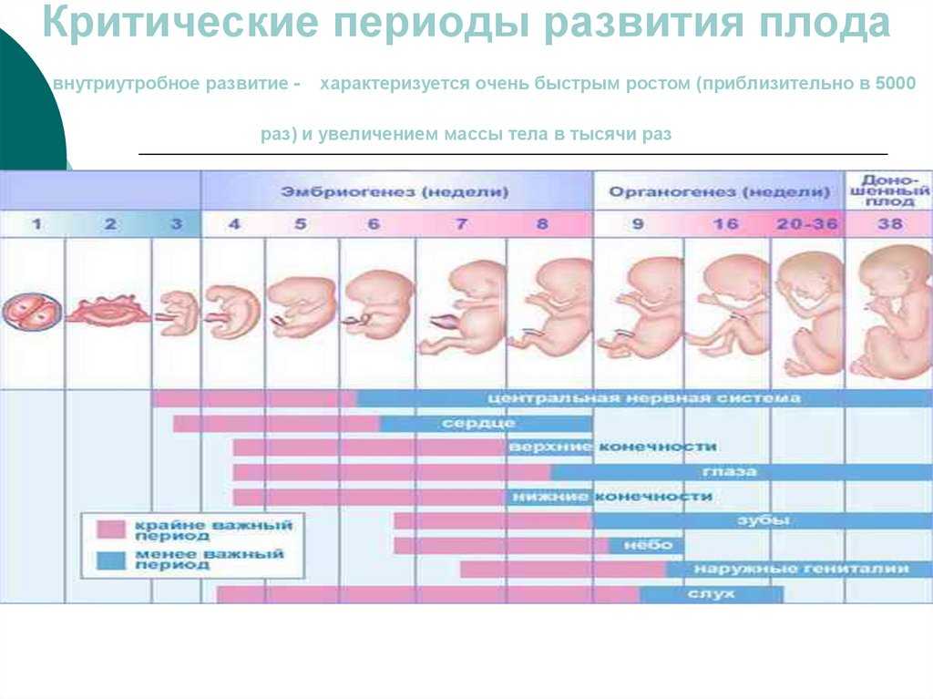 Преждевременные роды, угроза прерывания беременности | клиника ведения беременности