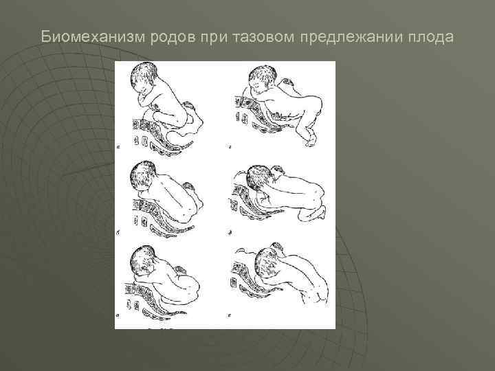 До какой недели беременности малыш может переворачиваться ~ детская городская поликлиника №1 г. магнитогорска