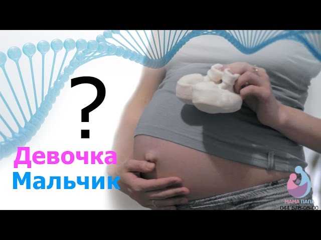 Как определить пол будущего ребенка на раннем сроке беременности? на каких сроках можно определить пол ребенка? узи, расчет по последним месячным, таблице
