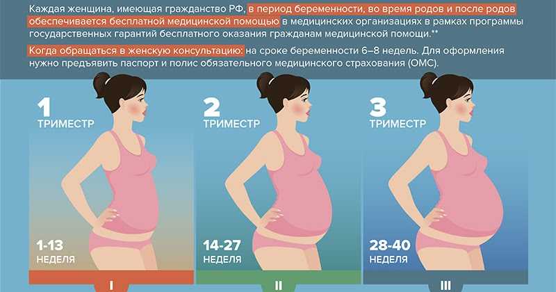 Второй триместр беременности: что нужно знать женщине