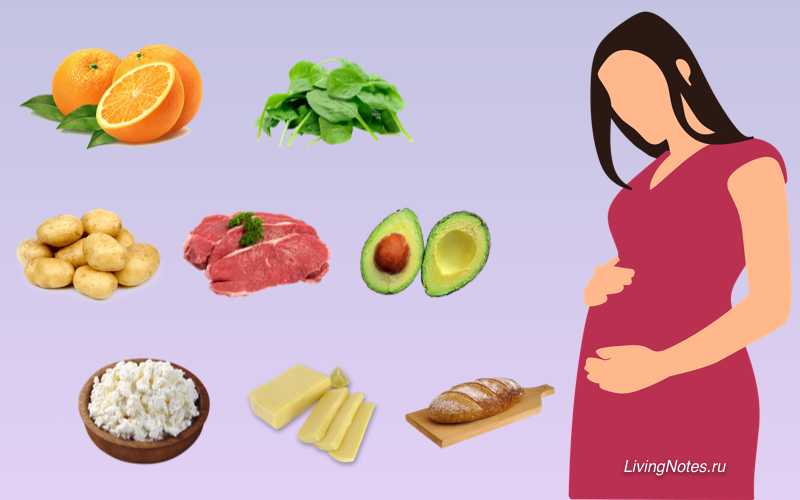 Как оформить бесплатное питание для беременных: порядок действий