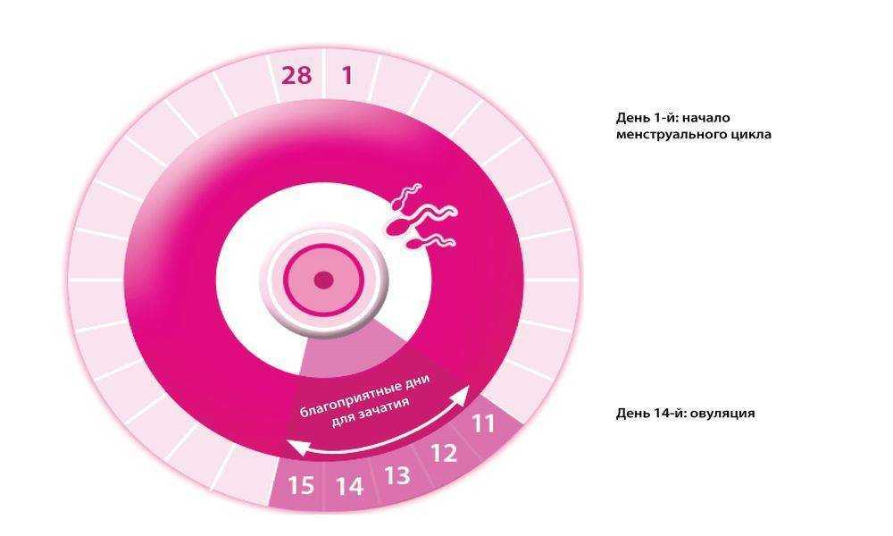 14 способов не забеременеть: гид по контрацепции