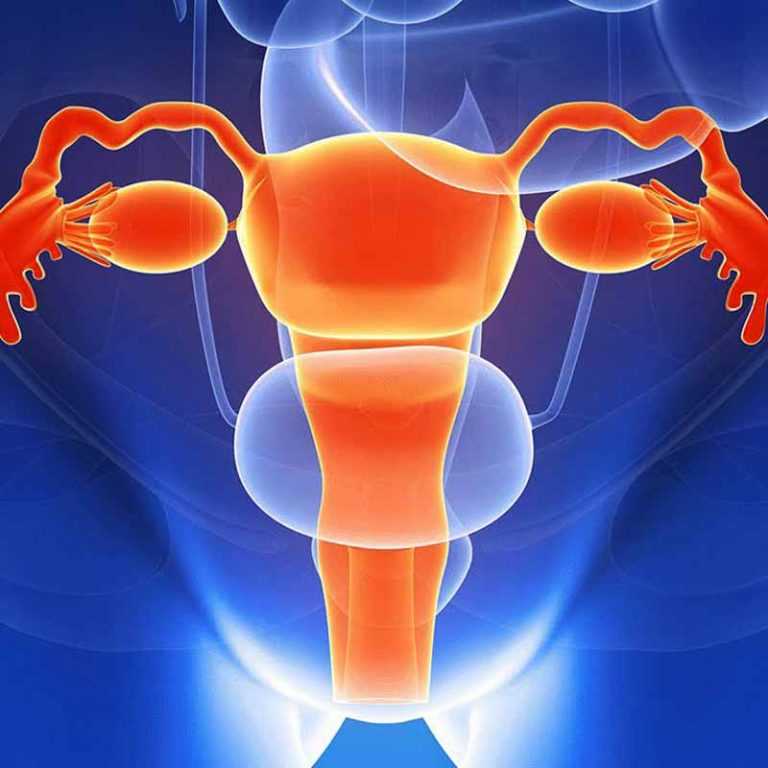 Эффект физической активности на уровень половых гормонов у женщин: систематический обзор и мета-анализ рандомизированных контролируемых исследований