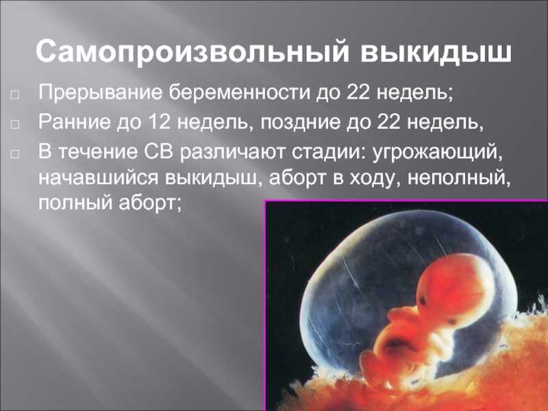 4 неделя беременности: развитие плода только начинается, появляются первые признаки беременности