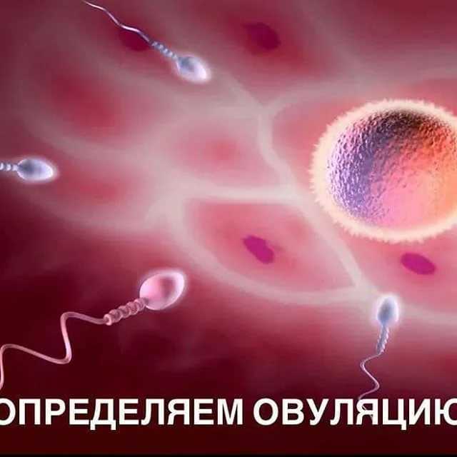 Криоперенос по квоте омс 2021, список анализов, документы по переносу эмбрионов по омс| центр репродукции «линия жизни»