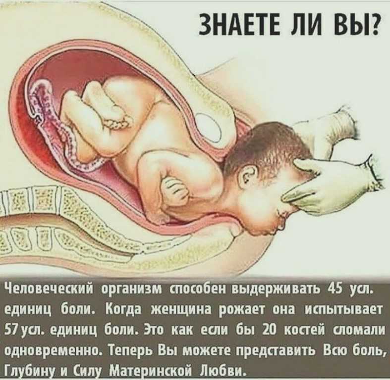 «она не может позволить себе ребенка», или почему женщины не хотят рожать | православие и мир