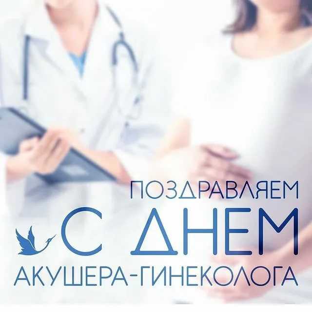 Новый порядок медицинской помощи по профилю «акушерство и гинекология». часть вторая: медицинская помощь беременным и роженицам