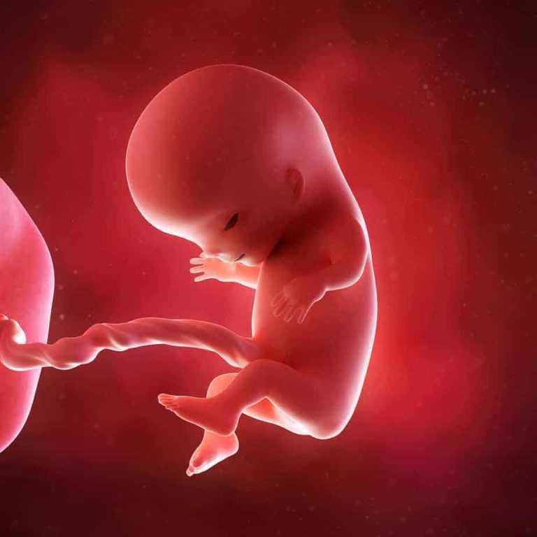 Форма живота во время беременности. о чем говорит? пол ребенка по форме живота